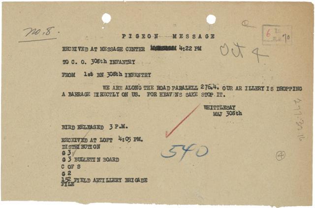 pigeonmessage WWI Messenger Pigeon Note